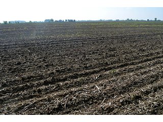 Property photo 43 - LAND AUCTION - 215+/- ACRES OFFERED IN 6 TRACTS IN VAN WERT COUNTY, OHIO
